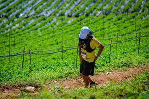 BIB: 
                            <button type="button" onclick="openModal(19164610)" class="btn btn-primary btn-sm float-right btn-popup" data-toggle="modal" data-target=".modal-high-quality">
                        <i class="fas fa-shopping-cart"></i> Add to Cart
                    </button>
                                            <button type="button" onclick="isThisMe(19164610, true)" class="btn btn-success btn-sm float-right btn-popup btn-isme hidden" data-toggle="tooltip" data-placement="bottom" title="นี่คือรูปของคุณใช่ไหม คลิกที่นี่เพื่อเอาเข้าอัลบั้ม">
                        <i class="fas fa-plus"></i> Add to album
                    </button>
                    <button type="button" onclick="isThisMe(19164610, false)" class="btn btn-warning btn-sm float-right btn-popup btn-isnotme hidden">
                        <i class="fas fa-ban"></i> Remove from album
                    </button>